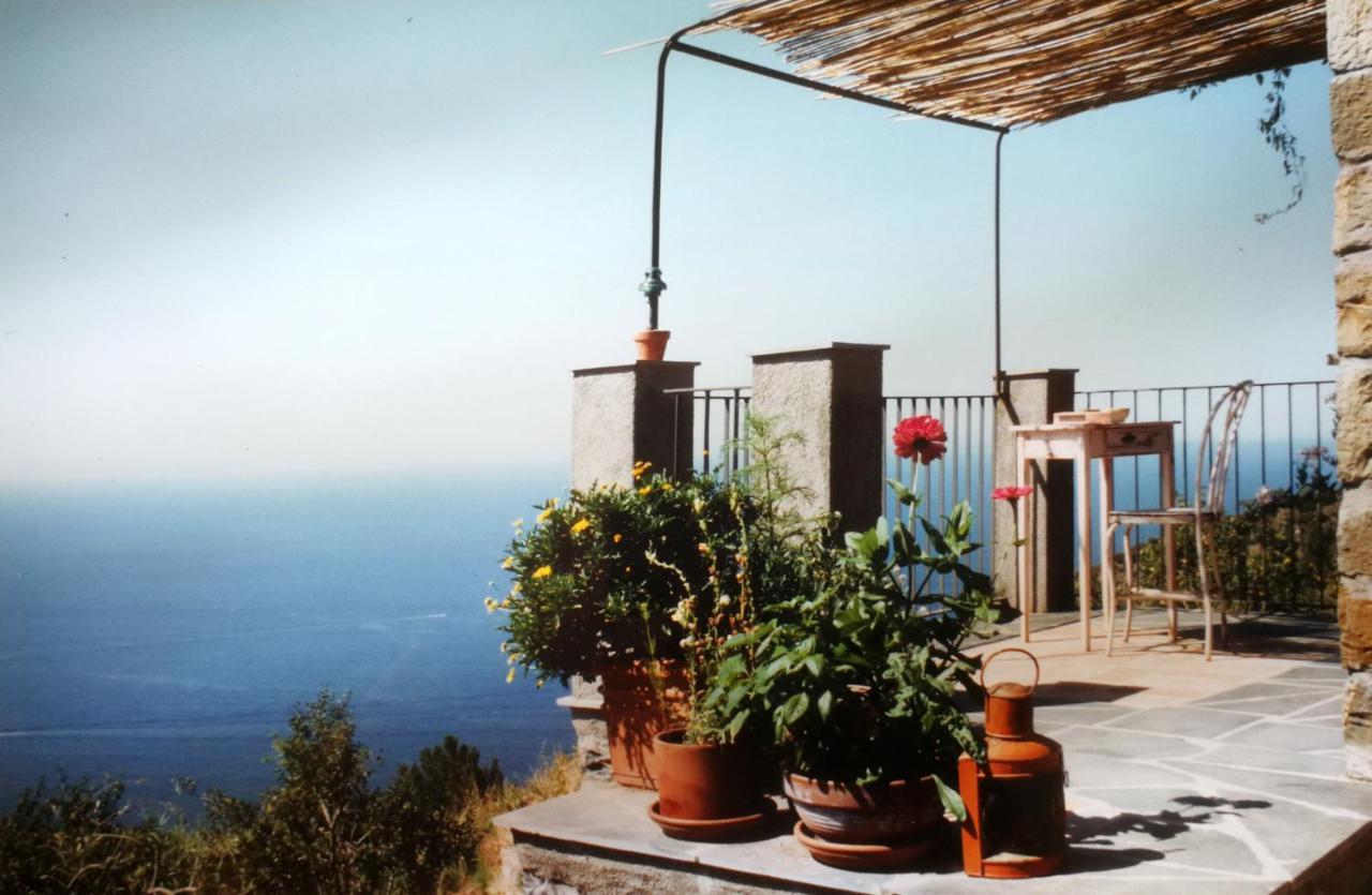 Cottage La Casa Del Pittore Reggimonti Εξωτερικό φωτογραφία