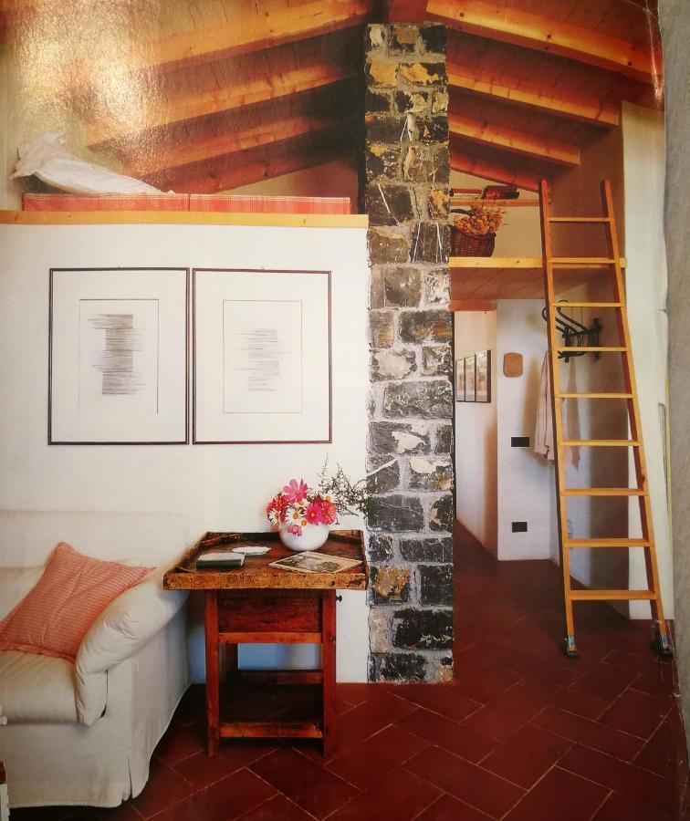 Cottage La Casa Del Pittore Reggimonti Εξωτερικό φωτογραφία