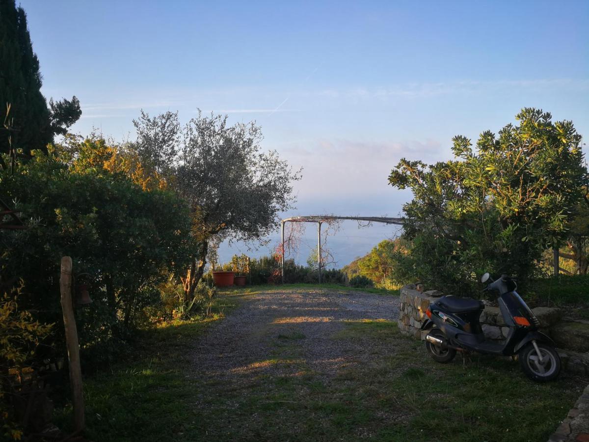 Cottage La Casa Del Pittore Reggimonti Εξωτερικό φωτογραφία