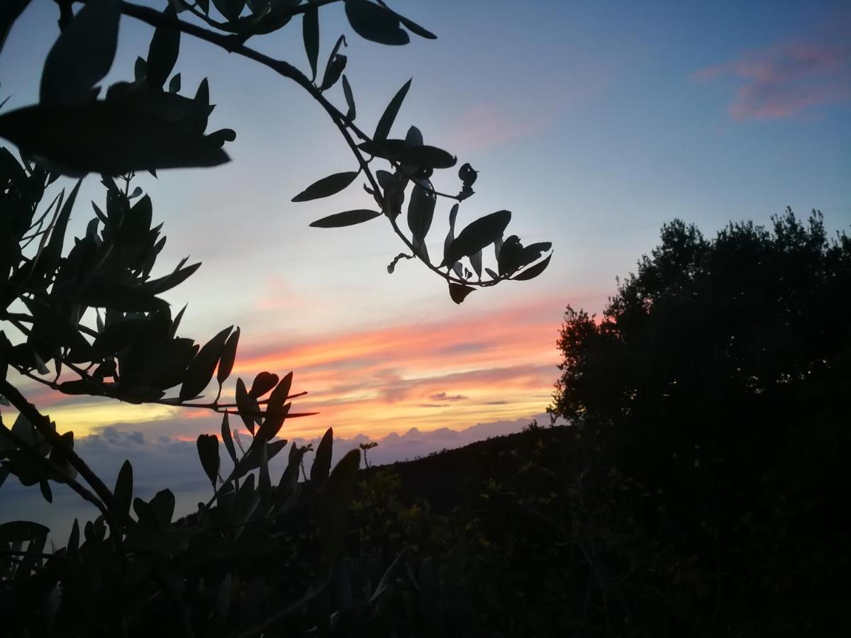 Cottage La Casa Del Pittore Reggimonti Εξωτερικό φωτογραφία