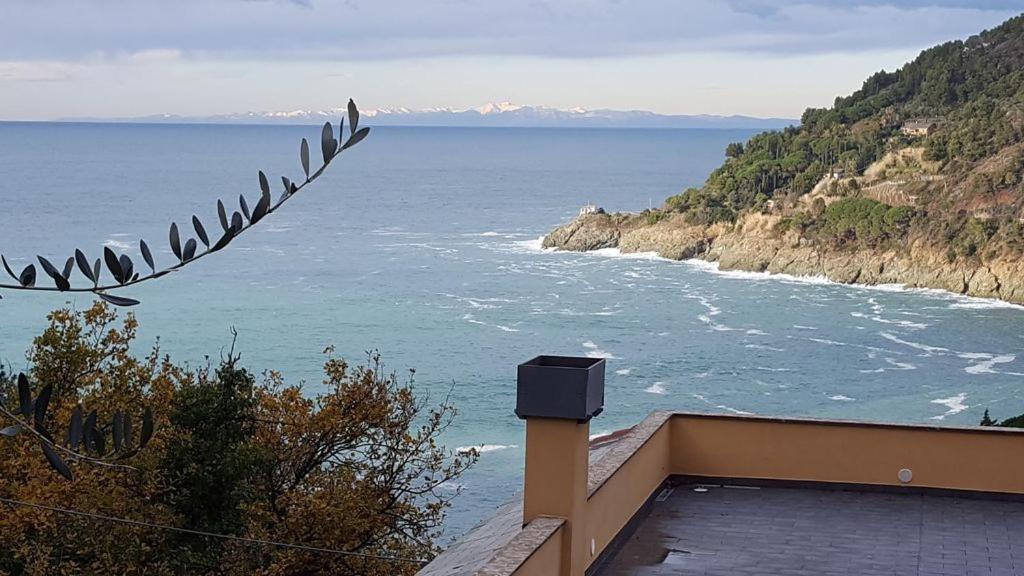 Cottage La Casa Del Pittore Reggimonti Εξωτερικό φωτογραφία