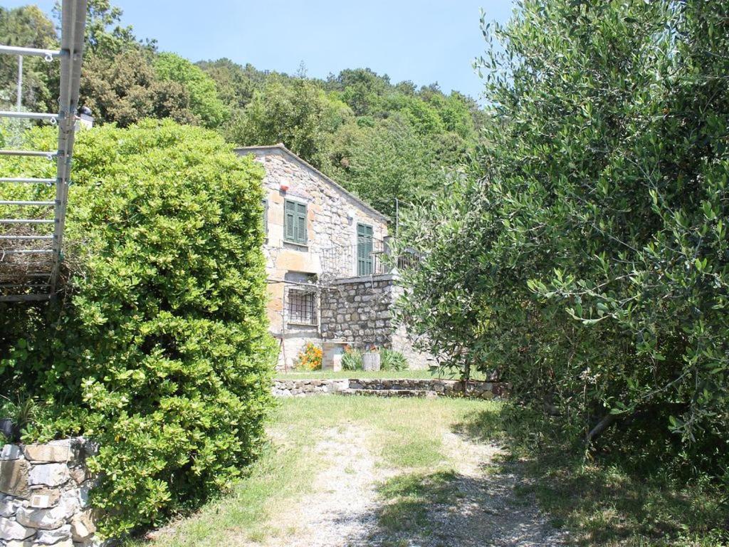 Cottage La Casa Del Pittore Reggimonti Εξωτερικό φωτογραφία
