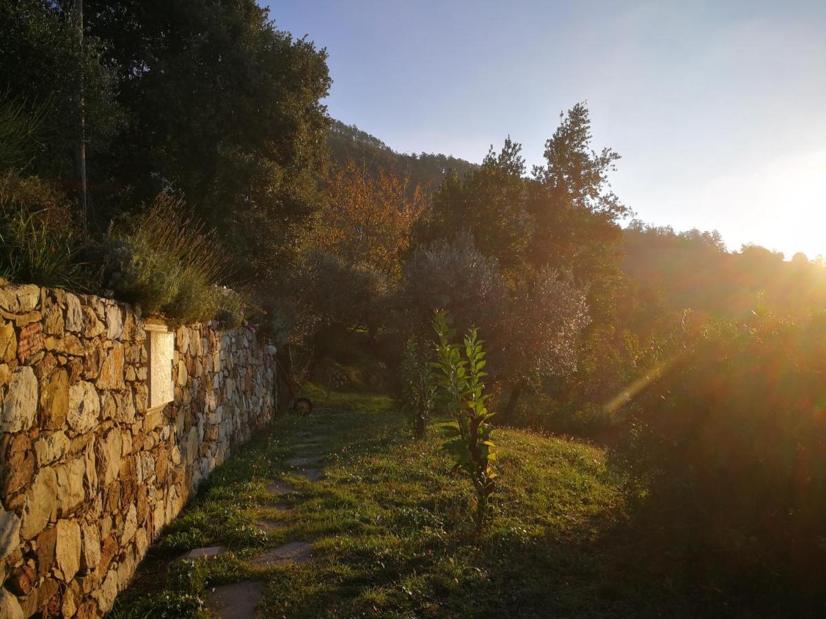 Cottage La Casa Del Pittore Reggimonti Εξωτερικό φωτογραφία