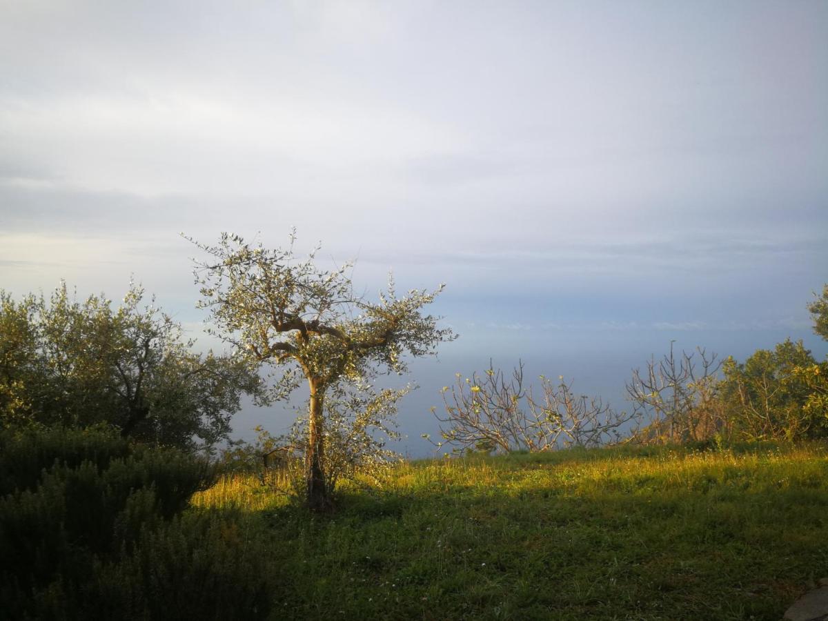Cottage La Casa Del Pittore Reggimonti Εξωτερικό φωτογραφία