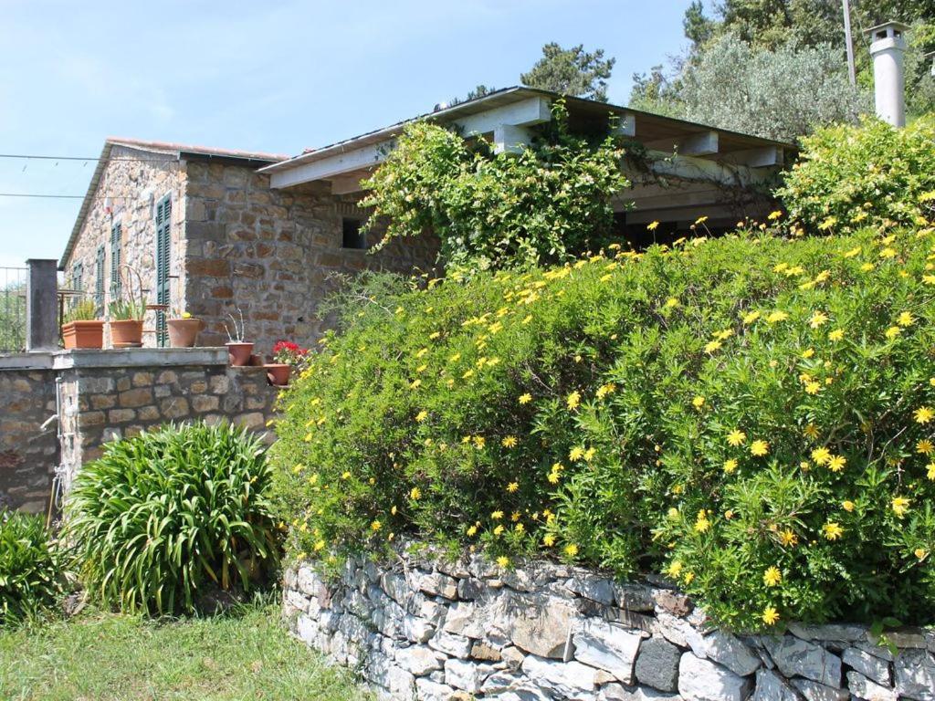 Cottage La Casa Del Pittore Reggimonti Εξωτερικό φωτογραφία